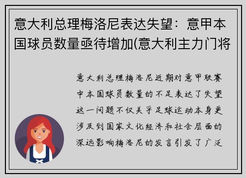 意大利总理梅洛尼表达失望：意甲本国球员数量亟待增加(意大利主力门将)