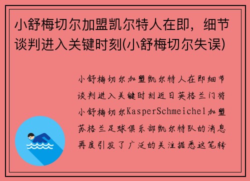 小舒梅切尔加盟凯尔特人在即，细节谈判进入关键时刻(小舒梅切尔失误)