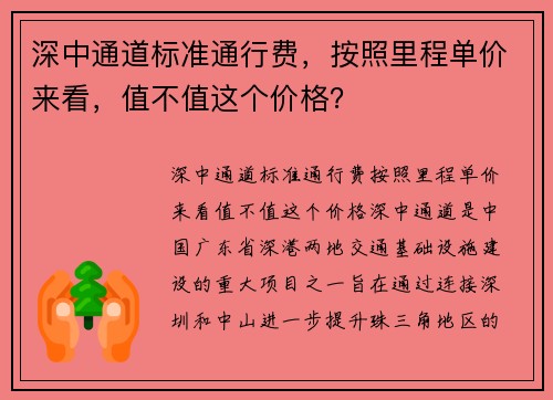 深中通道标准通行费，按照里程单价来看，值不值这个价格？