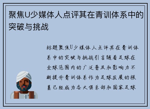 聚焦U少媒体人点评其在青训体系中的突破与挑战